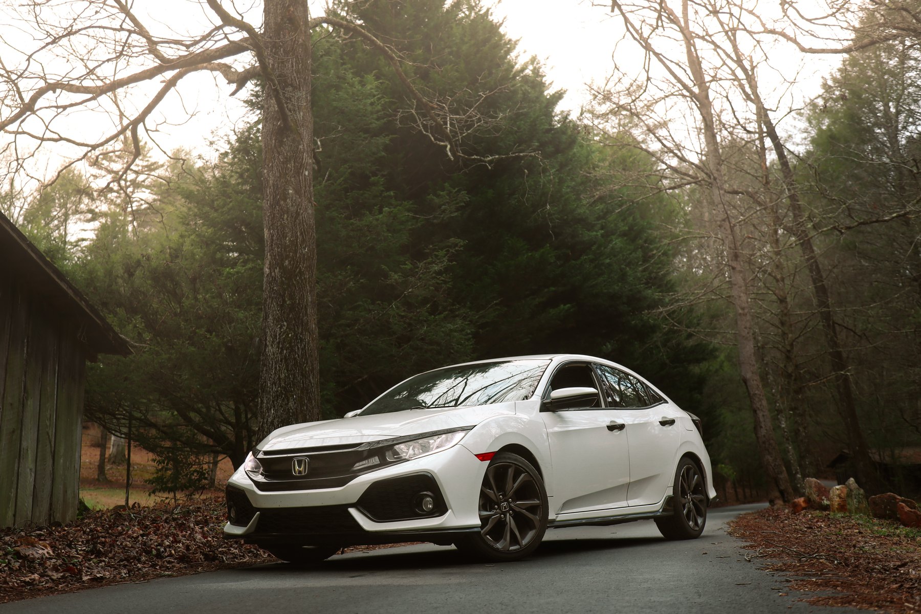 Automotive photography in the forest